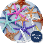 Starfish Assorted Colours 7.5-20cm